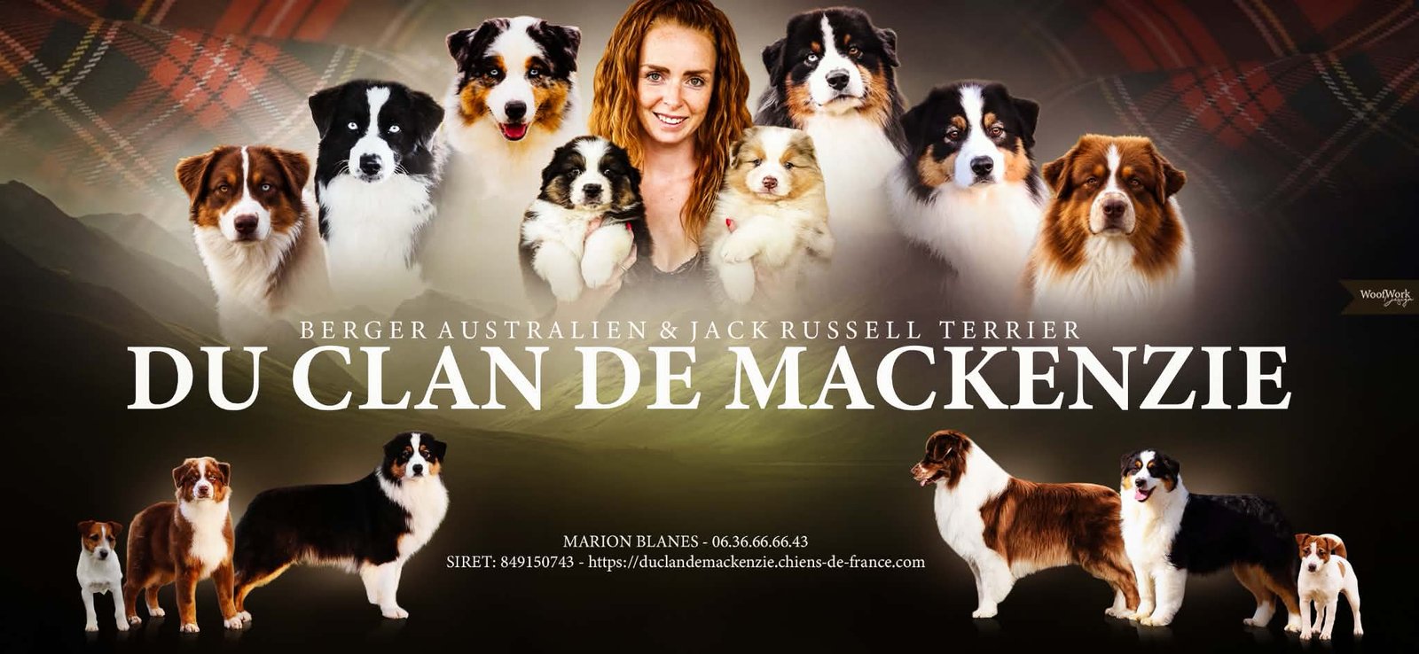 Élevage du Clan de Mackenzie - Élevage Jack Russell et Berger Australien LOF en Normandie